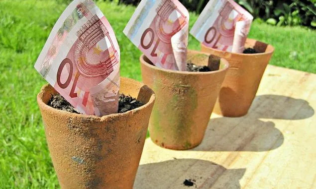 Bitllets de deu euros dins tres testos amb terra.Font: Images_of_Money (flickr)
