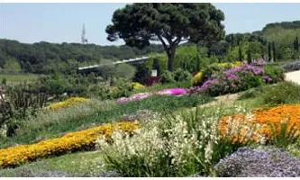 Museu de Ciencies Naturals de Barcelona