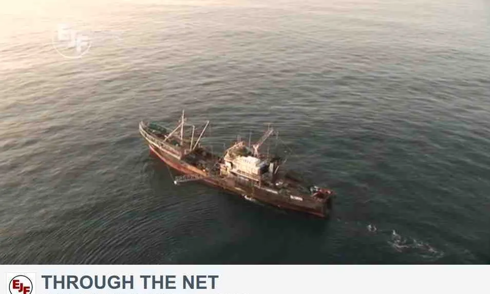 Imatge del reportatge "Through the net" (Environmental Justice Foundation)