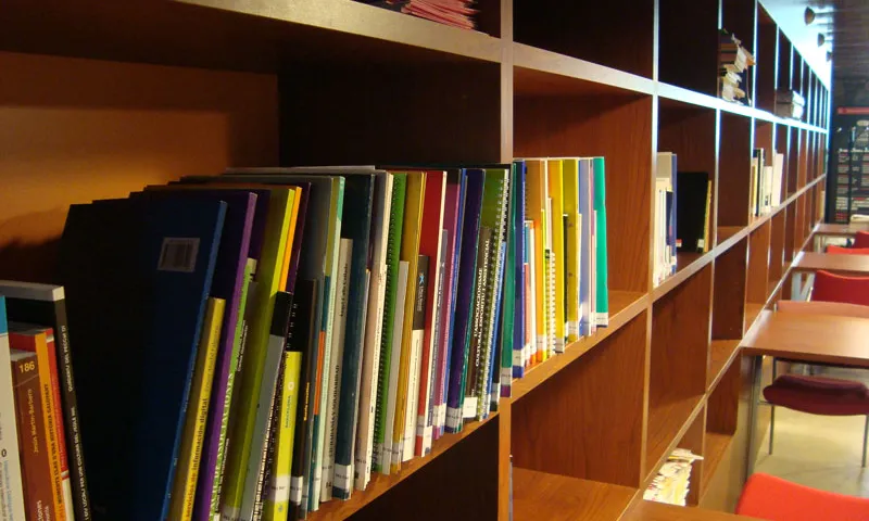 Prestatge amb llibres. Font: Torre Jussana