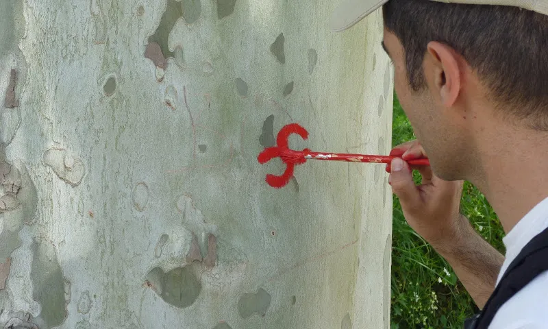 Senyalització del tram del Montseny. Imatge EL Camí