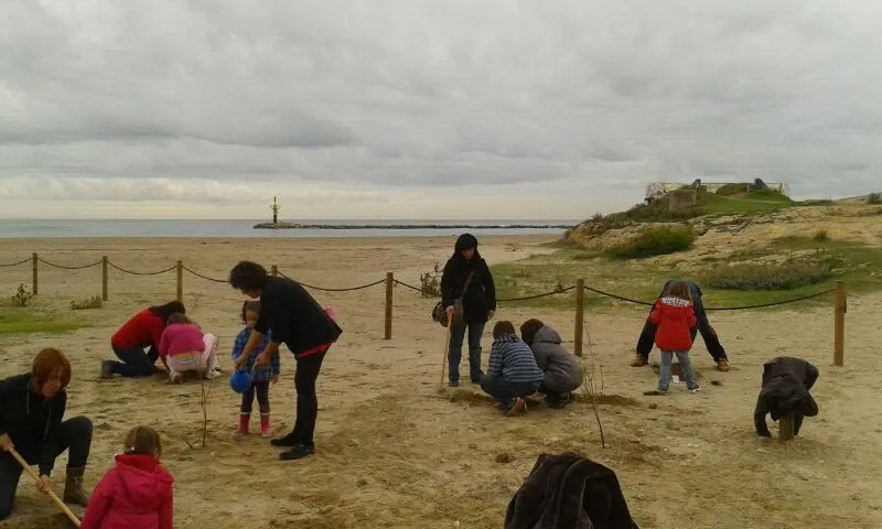 Un moment de la jornada “Viu la platja!” a Altafulla 