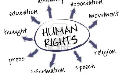 31è Curs de drets humans