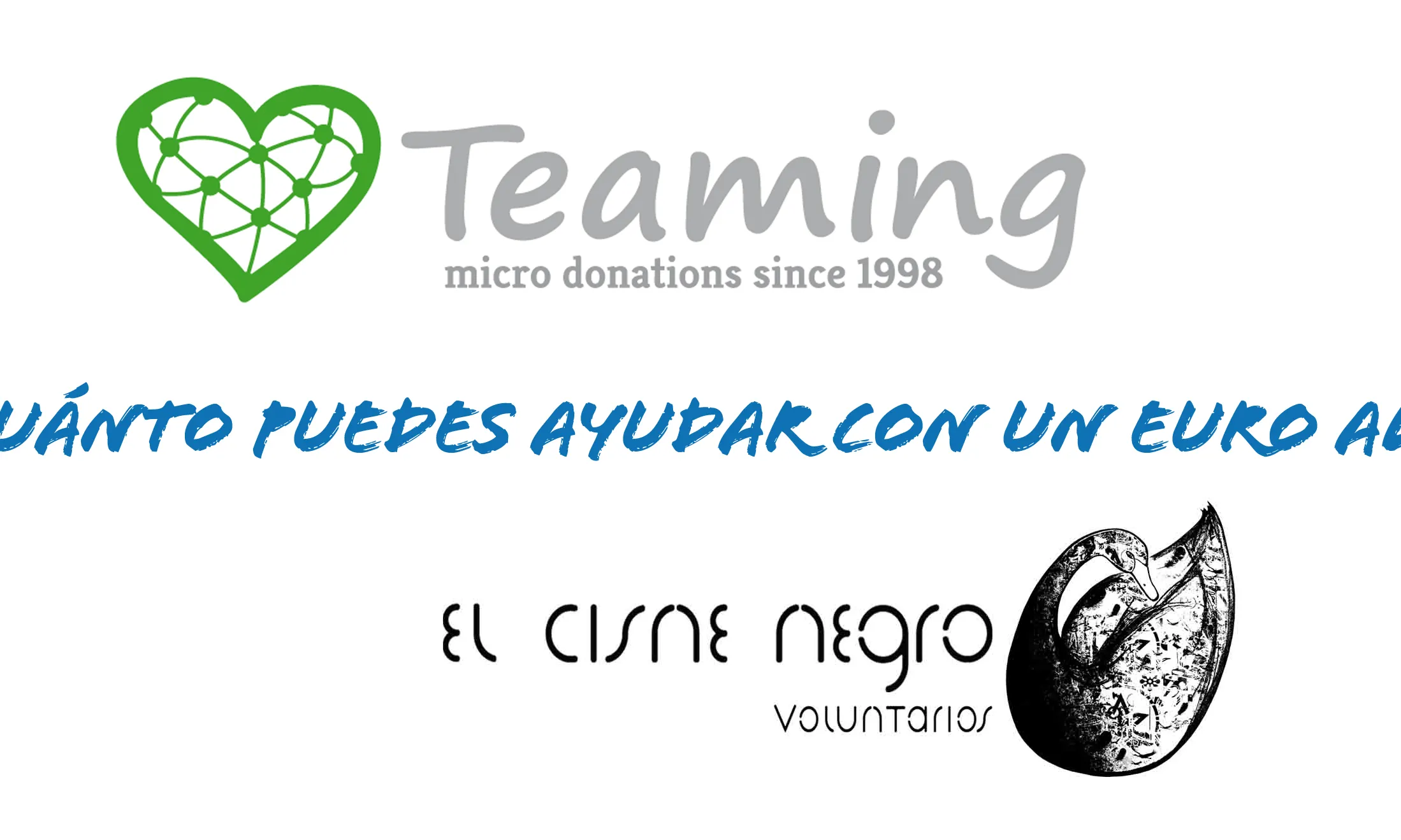 Teaming El Cisne negro voluntarios