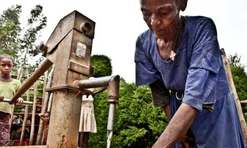 Fotografia d'un dels projectes actius a WorldCoo