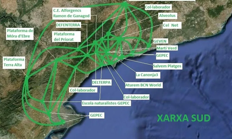 Signants de Xarxa Sud