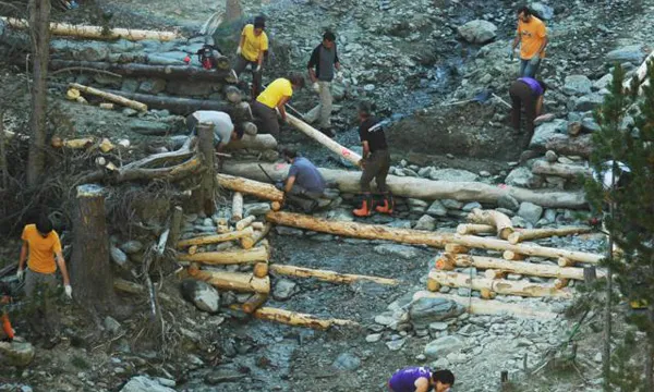 (foto: Projecte Boscos de Muntanya)