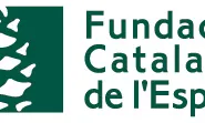 Logo de la Fundació Catalana de l'Esplai