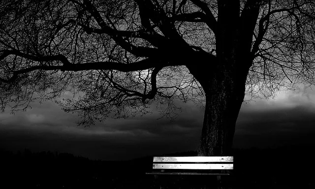 Arbre protegit amb una barana. Protecció_malavoda_Flickr