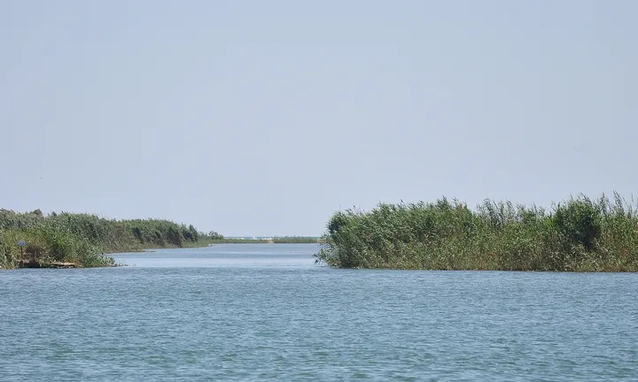 Delta de l'Ebre (imatge: flickr, FèlixGP)