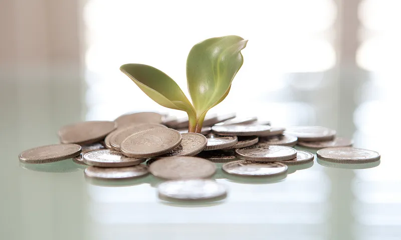 Money plant. Font: Tax Credits (flickr)