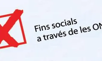 Fins socials a través de les ONG