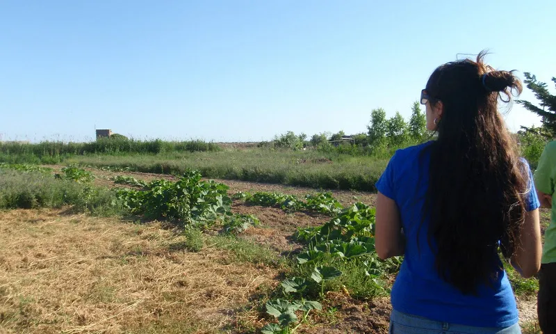 Visita del grup de consum El Rebost del Delta de Gavà als camps de La Trama