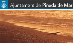 Ajuntament de Pineda de Mar