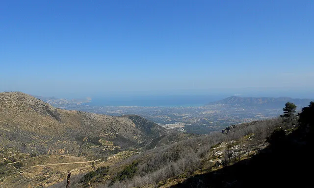 Bosc cremat. Font: Centelleja (flickr)