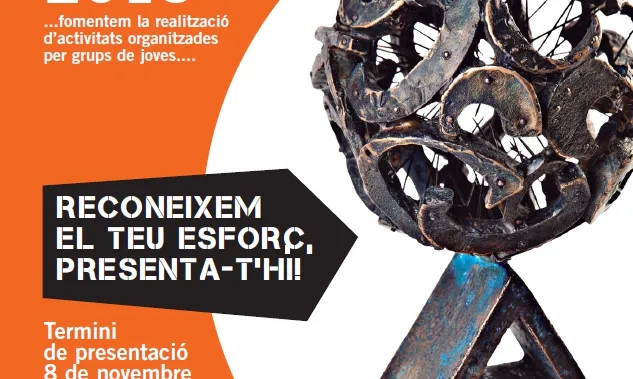 Cartell del Premi Jove, proposa! 2013