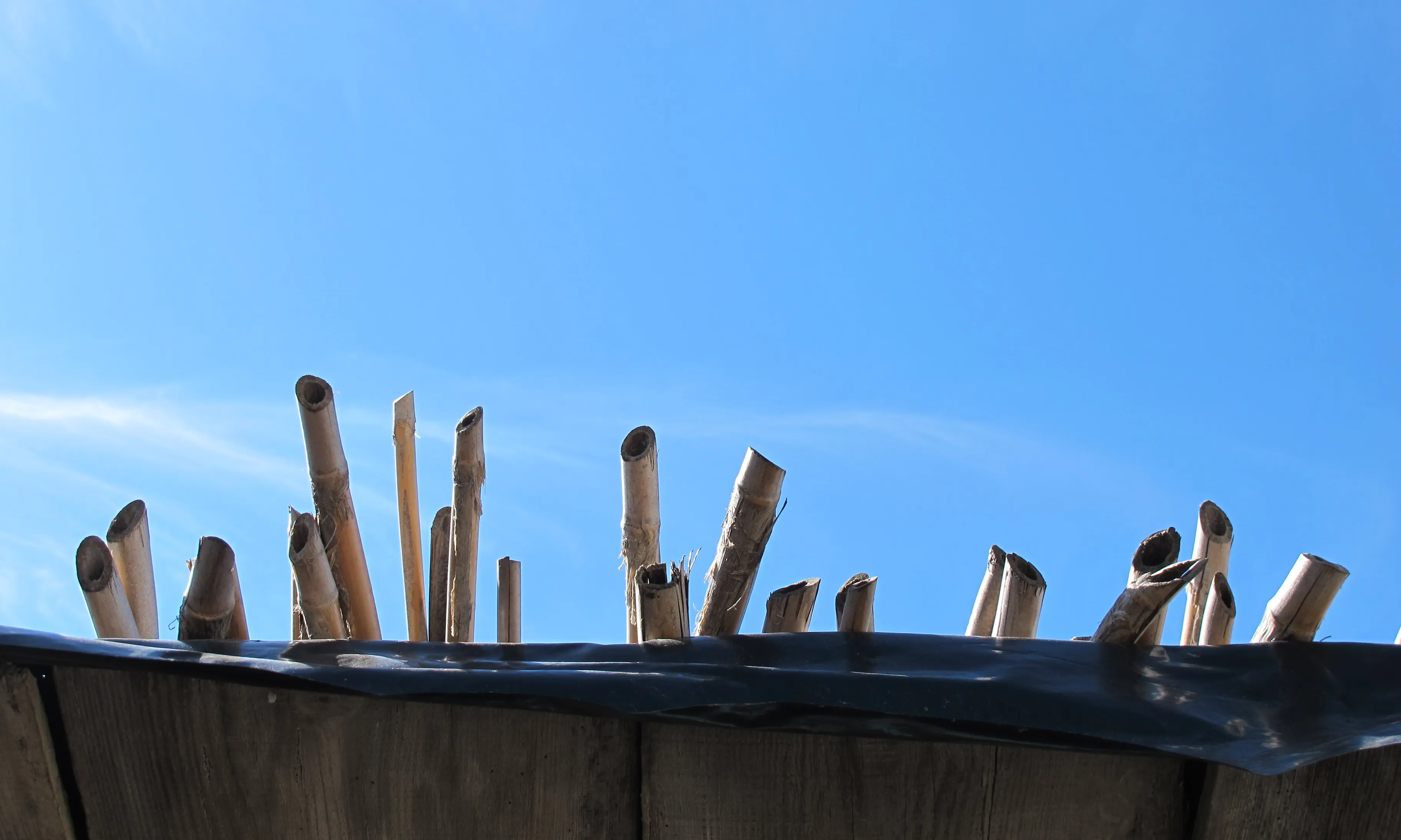 Comunitats catalanes de l'exterior_la veu de nanuk_Flickr