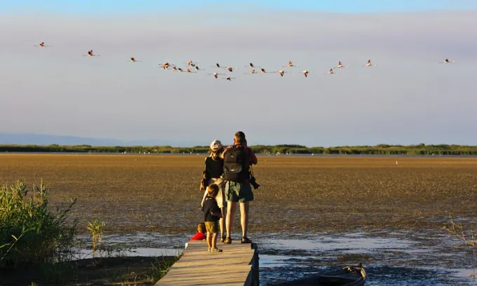 Parque Natural del Delta de l'Ebre. Font Patronat Turisme Terres de l'Ebre