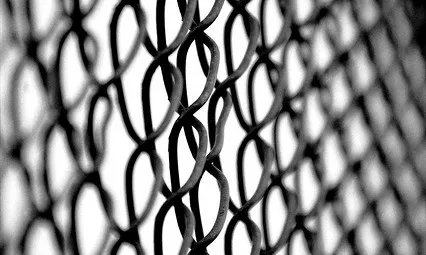 Protecció_DonkerDink_Flickr