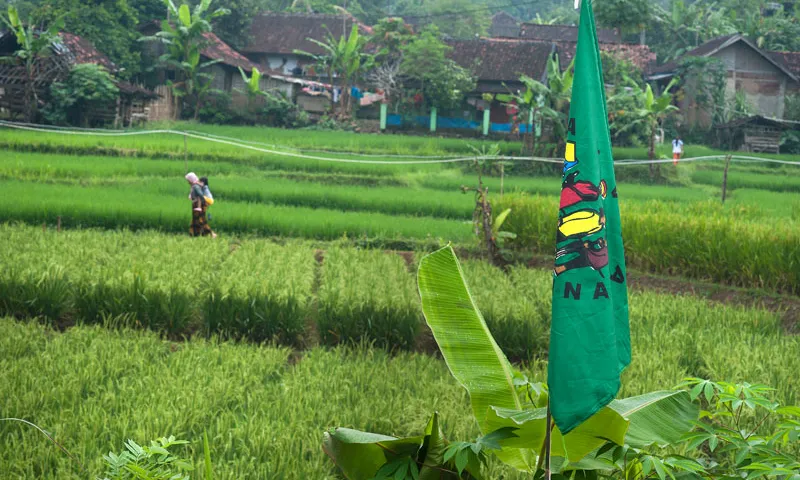 Imatge: Via Campesina