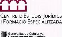 Logo CEJFE