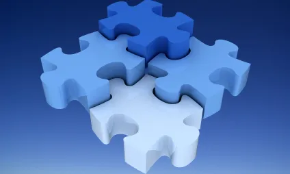 Imatge puzzle. Font: web Escola Europea Coaching 