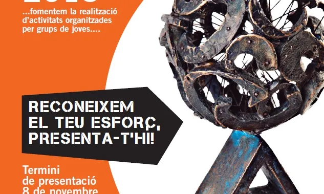 Premi Jove, proposa! 2013