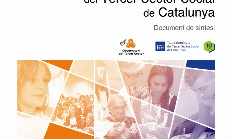 Portada Anuari Tercer Sector Social 2013