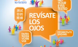 Pòster Dia Visió 2013