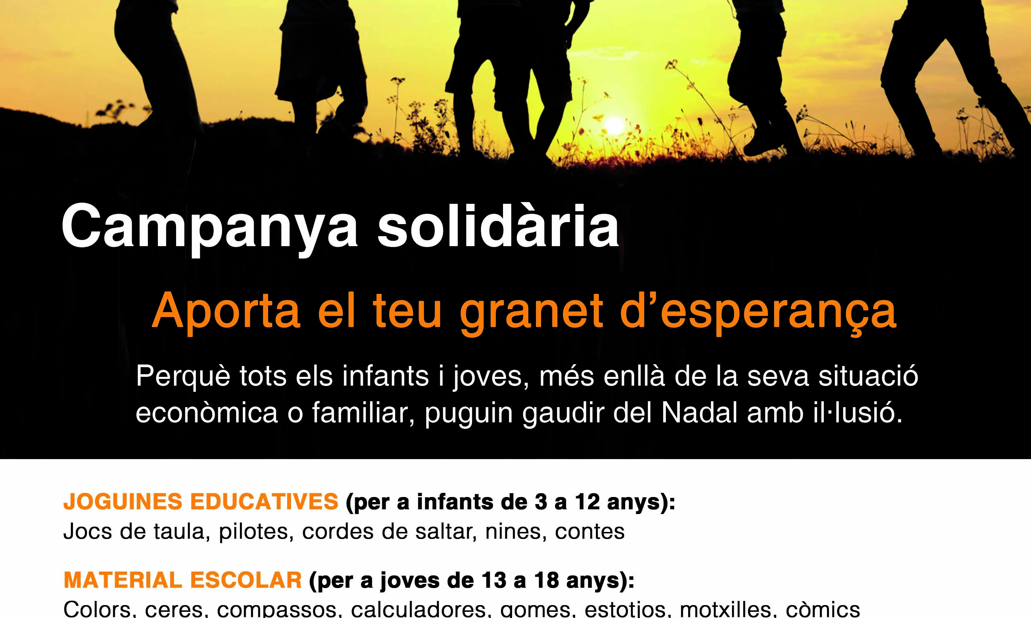 Cartell de la campanya 2013