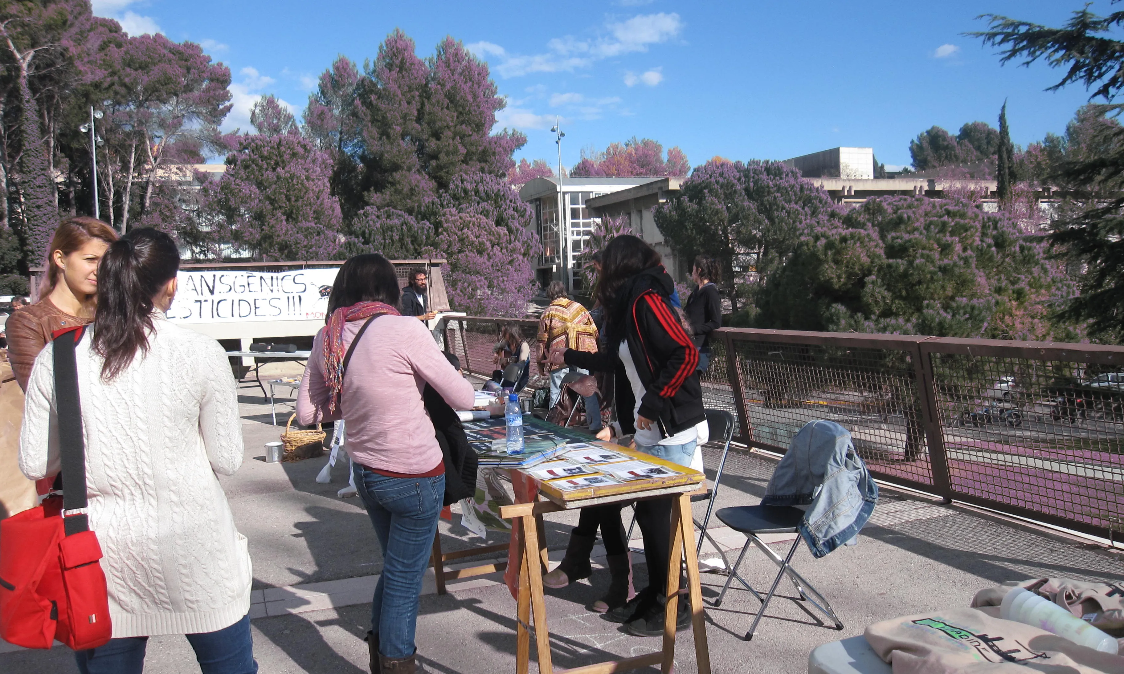 Voluntàries explicant els projectes alternatius (Font: FAS)