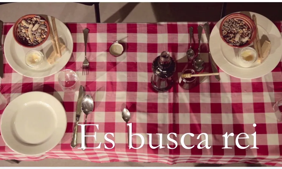 Imatges de la campanya "Es busca rei"