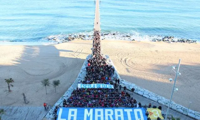 Imatge activitat. Font: web Fundació La Marató TV3