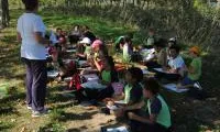 Taller d'educació ambiental sobre tortuga d'estany (imatge: Fundació Emys)