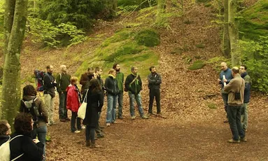 Imatge: www.landstewardship.eu/ca/