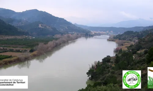 Custòdia fluvial i agrària a l'Ebre (imatge: Grup Natura Freixe)