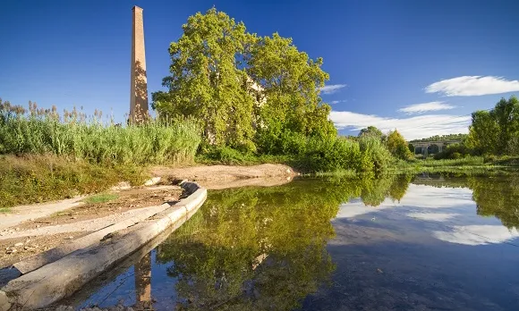 Zona humida de la resclosa de la fàbrica del Catllar (imatge: Jordi Brú)