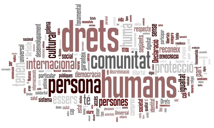 Premi Solidaritat 2013
