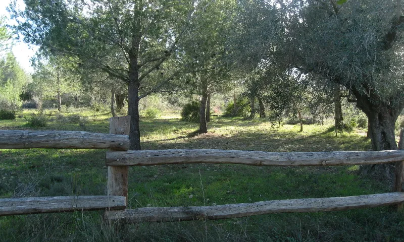 Terreny de Les Esplanes.