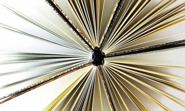 Llibres_Frailejon Editores_Flickr