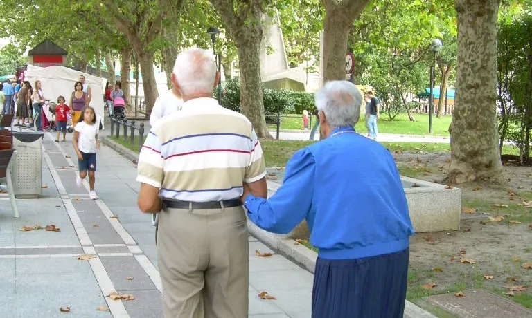 Una parella d'avis passejant.