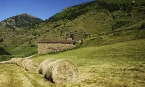 Parc Natural de l'Alt Pirineu
