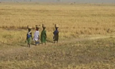 Dona, Àfrica rural i aigua, imatge: Aigua per al Sahel