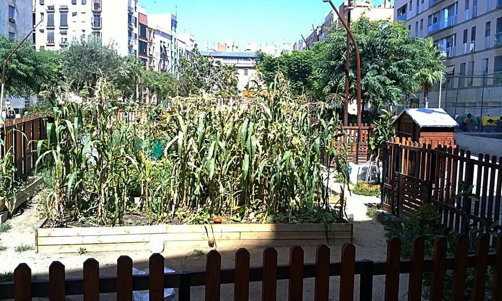 Hort urbà a la Ribera, Ciutat Vella, Barcelona (Font: flickr.com)
