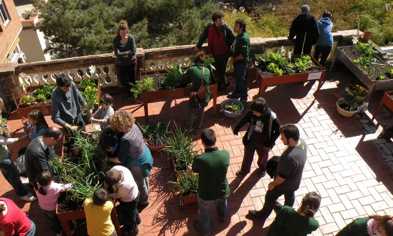 L'hort urbà de Lluïsos de Gràcia