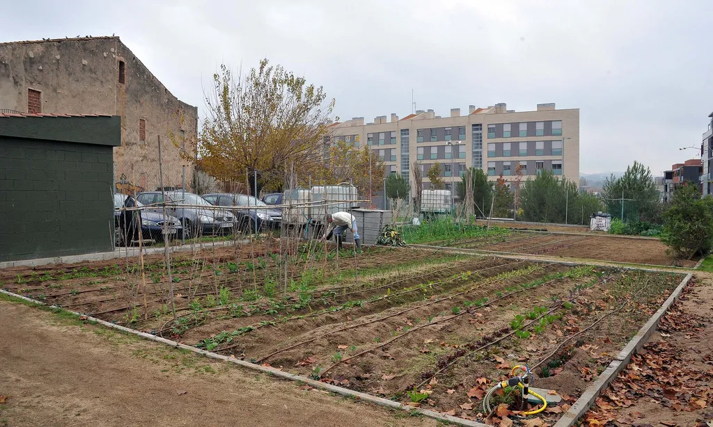 Hort urbà de Sant Cugat (Font: flickr.com)