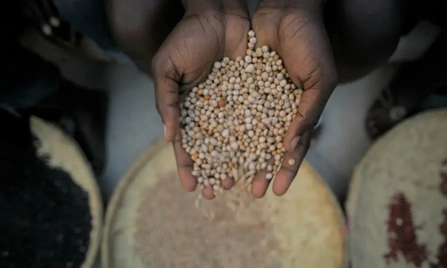 Fotograma del documental OMG de Jeremy Seifert