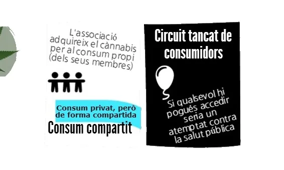 Normes associacions cannàbiques. Font Vilaweb