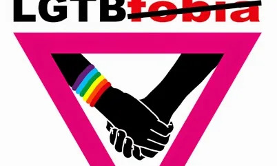 Llei contra l'homofòbia. Font: Rompe armarios 