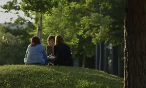 Frame d'un dels programes